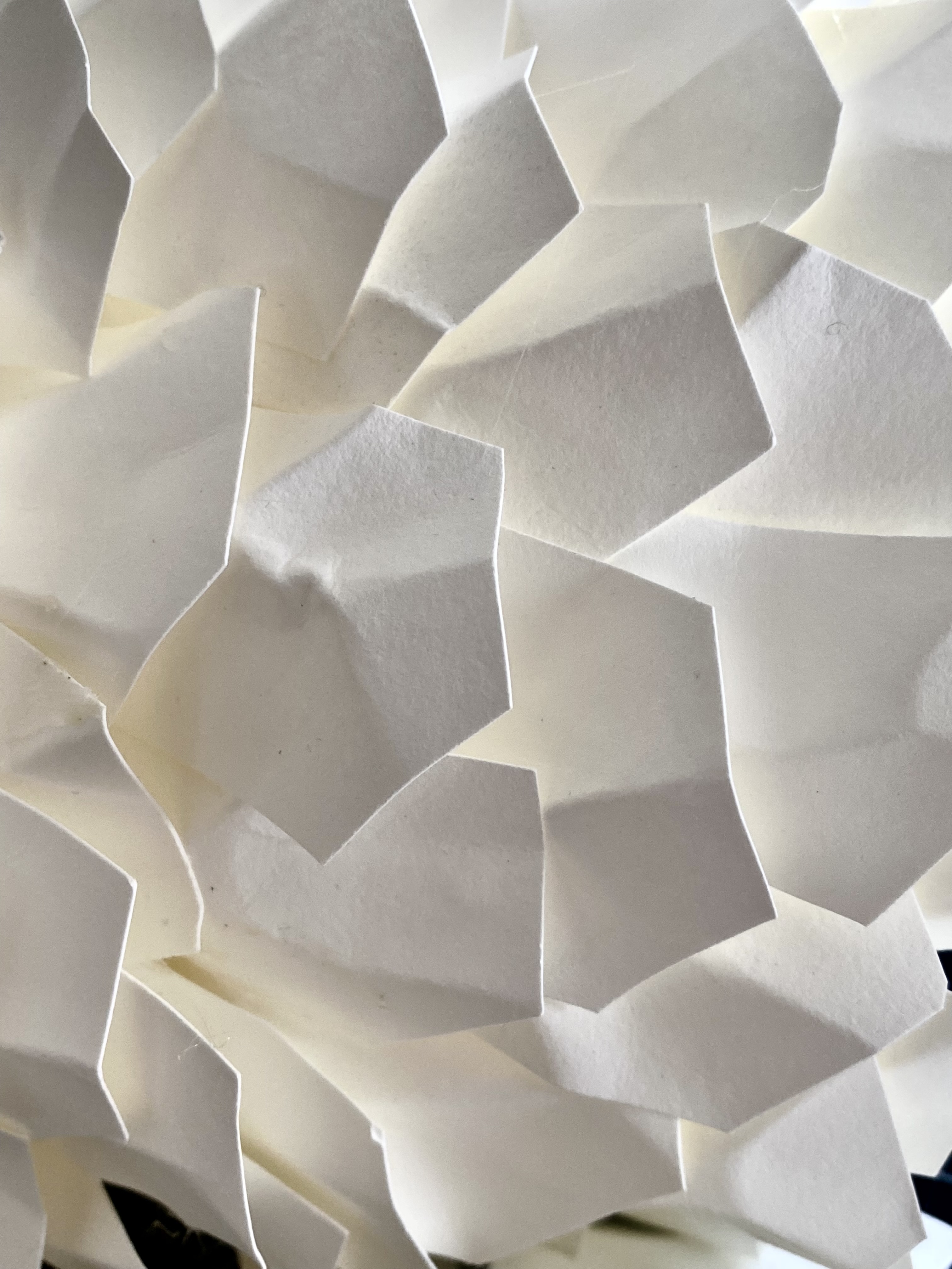 Lamps — lamp assembly