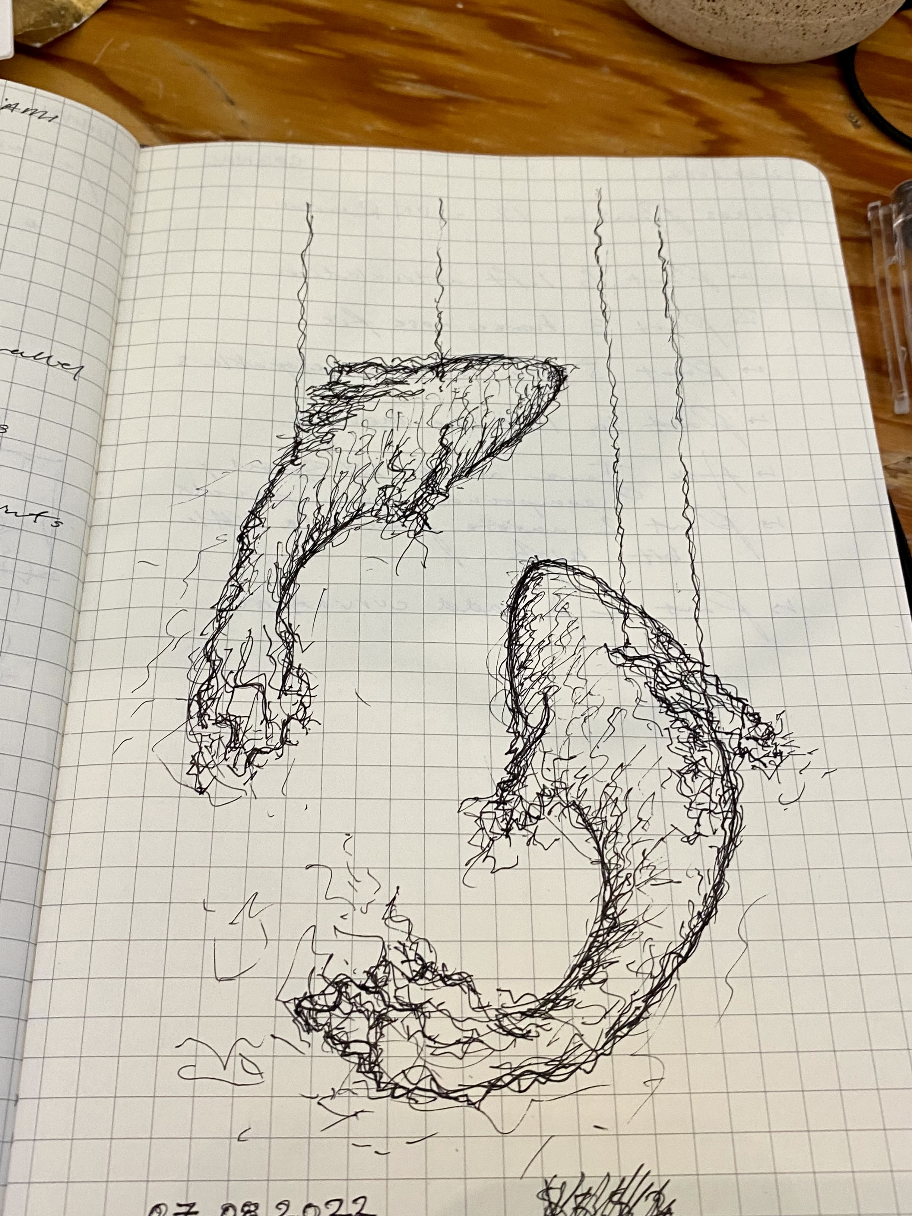 Lamps — lamp study